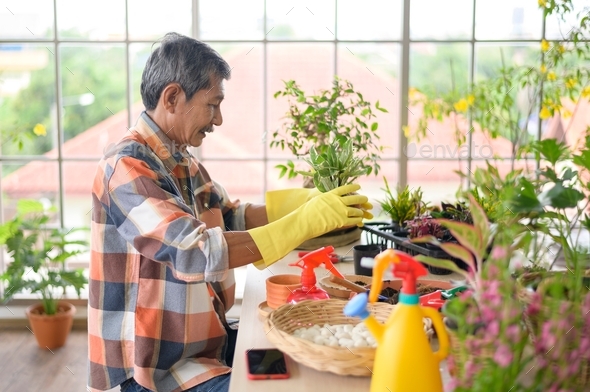 Happy senior asian retired man spraying and watering tree enjoys leisure activity at home