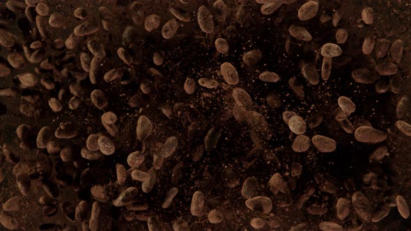 Super Slow Motion Shot of Exploding Raw Chocolate Beans and Cocoa Powder at 1000Fps alt