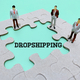 Dropshipping - PhotoDune Item for Sale