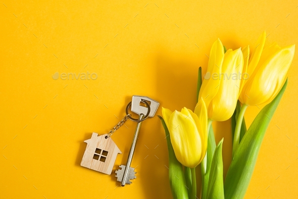 Key ring in the shape of wooden house with key on yellow background and spring tulips. Building, des - Stock Photo - Images