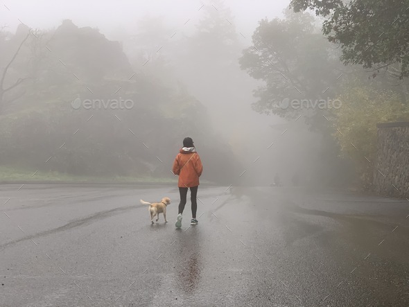 Women and her dog walking through the fog - Stock Photo - Images