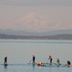 Paddle boarding on calm ocean facing cape snowed mountain  - PhotoDune Item for Sale
