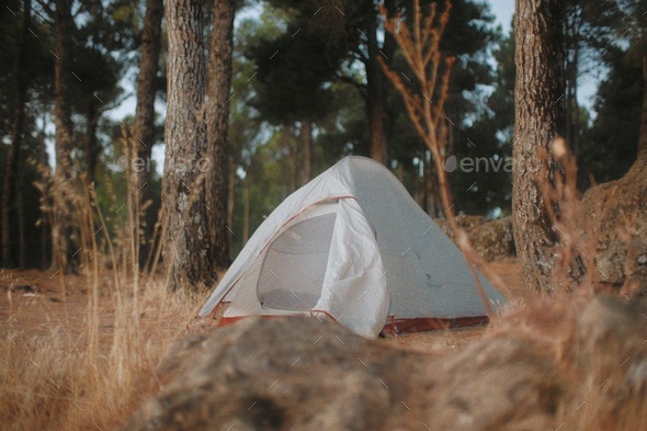 Camping tent with the Golden sun in the morning  - Stock Photo - Images