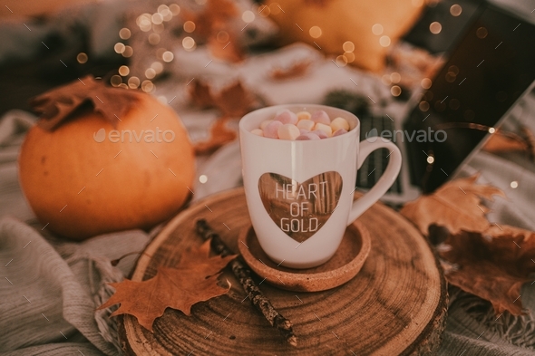 Halloween night with a cup of marshmallows hot chocolate  - Stock Photo - Images