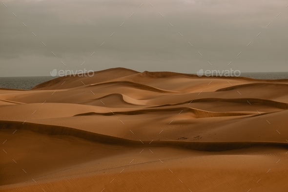 Golden Sand dunes  - Stock Photo - Images