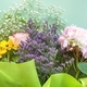 Colorful beautiful spring bouquet closeup. Roses, sunflower, purple flowers. - PhotoDune Item for Sale