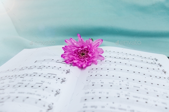musical notation. Music in notes. Love to music.
 - Stock Photo - Images