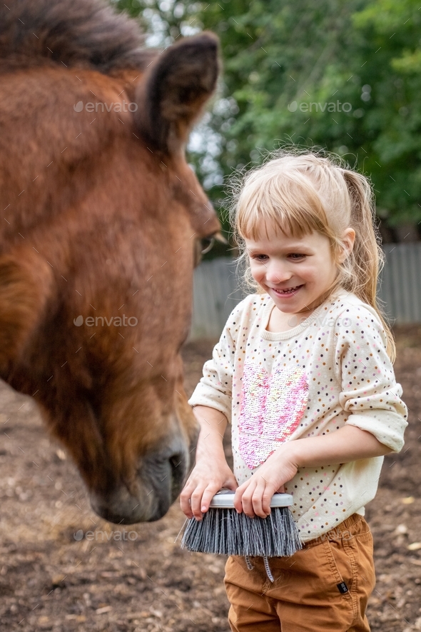Happy laugh little girl iwith cleaning brush looking at horse. First meet, first horse care