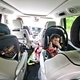 A panoramic view of the inside of a minivan filled with a baby in a car seat - PhotoDune Item for Sale