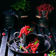 berries currants blueberries raspberries basil in metal dishes in buckets on a wooden dark board - PhotoDune Item for Sale