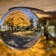 Beautiful yellow Autumn tree reflected in glass lens ball  - PhotoDune Item for Sale