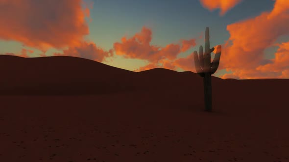 Desert Sunrise 3 alt
