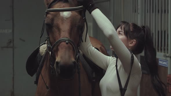 Young woman puts a bridle on a horse