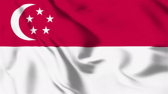 4K Singapore Flag - Loopable alt