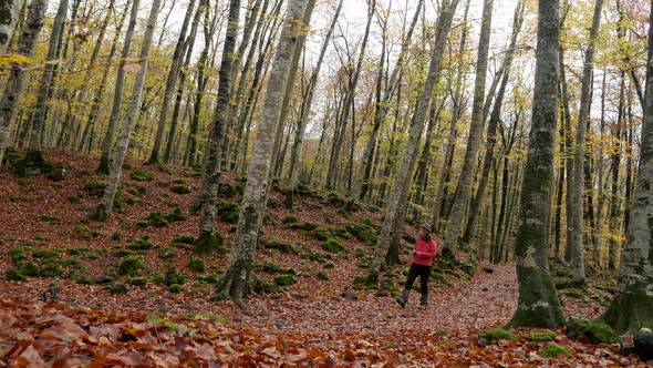 Hiker Woman Walking Through the Forest in Autumn in Slow Motion