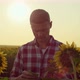 Agronomist Inspect Sunflower Plantation at Golden Sunlight - VideoHive Item for Sale