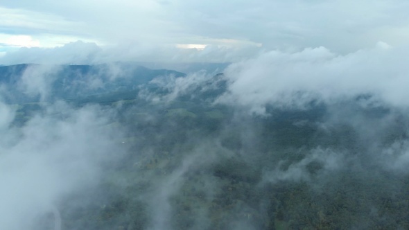 Cinematic Fog Over Countryside