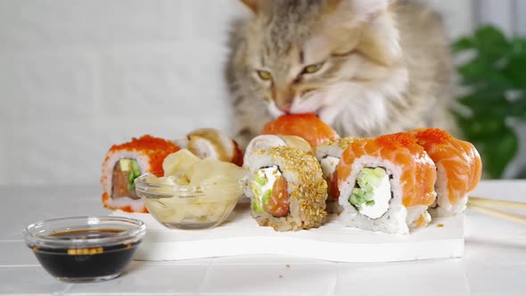 Sushi delivery, restaurant menu video