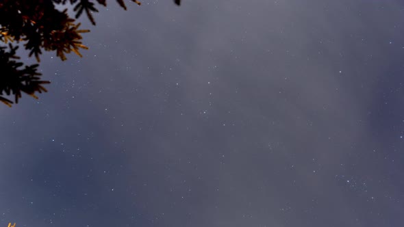 The Beautiful Autumn Night Sky with Shooting Stars