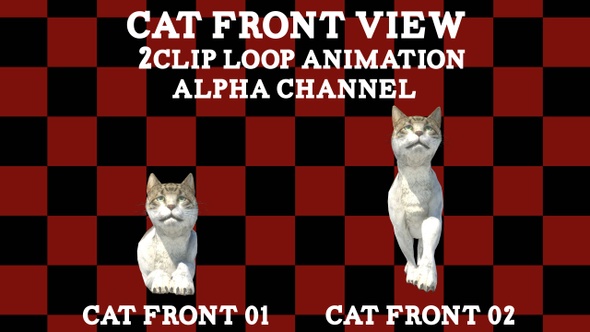 Cat Front View 2Clip Loop