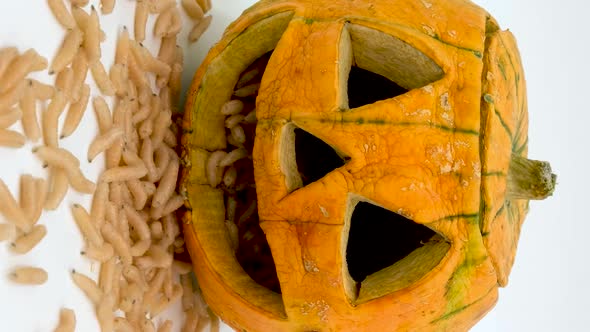Vertical orientation video: Halloween pumpkin with maggots. Fly larvae in pumpkin