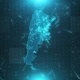 Argentina Population Density Map - VideoHive Item for Sale