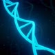 Dna transformation - VideoHive Item for Sale