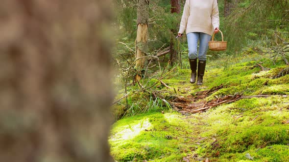Woman with Mushrooms in Basket Walking in Forest alt