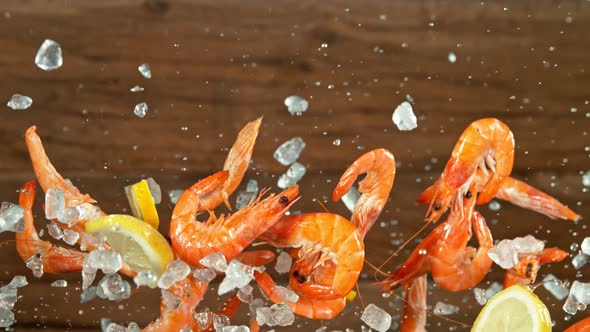 Super Slow Motion Shot of Flying Fresh Prawns with Crushed Ice and Lemon Slices at 1000 Fps alt