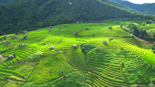 Drone flying over fields in Pa pong piang rice terraces alt