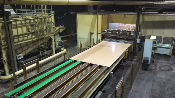 Chipboards are Moving on the Conveyor at the Wood Processing Factory