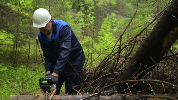 Man with chainsaw working in forest