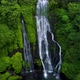 Powerful Tropical Waterfall in Green Rainforest - VideoHive Item for Sale