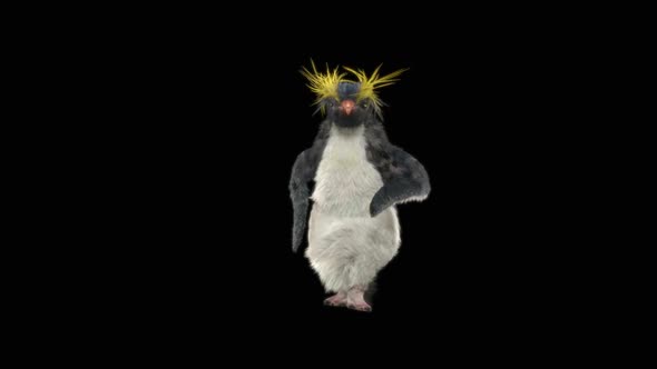 66 Penguin Dancing HD alt