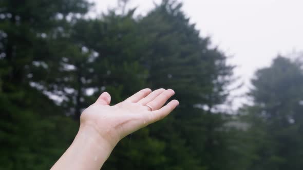 Close Up View on Female Hand Under Pouring Rain with Spruce Forest Ecology Shot alt