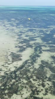 Tanzania  Vertical Video of the Ocean Near the Coast of Zanzibar Slow Motion alt