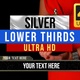 Silver Styled Lower Thirds - VideoHive Item for Sale