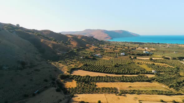 Aerial Nature Greek Landscape with Sea, Mountain, Olive Trees and Houses