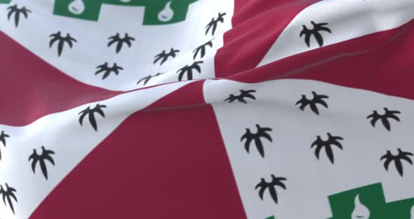 Loudoun County Flag, United States alt