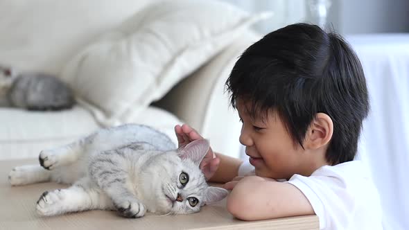 Cute Asian Child Playing With Persian Kitten Together alt