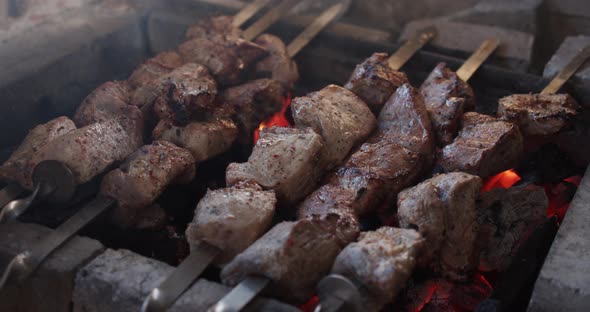 Fry Meat In Nature, Barbecue   alt
