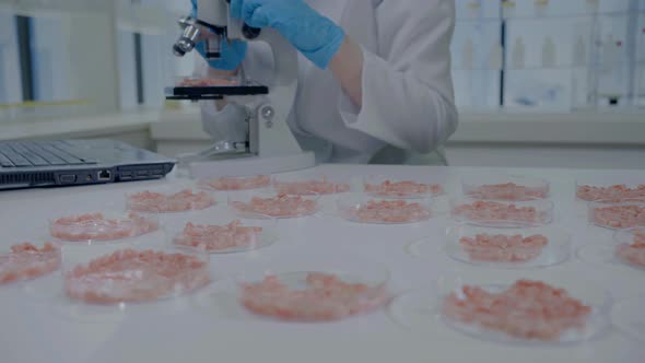 Closeup of an Unrecognizable Scientist with a Microscope in the Laboratory Cultured Meat in Petri alt