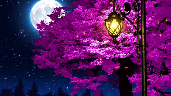 Street Light on Blooming Tree Background alt