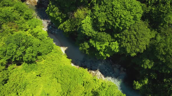 Birdseye View of Okatse River Surrounded By Green Forest Martvili Georgia alt