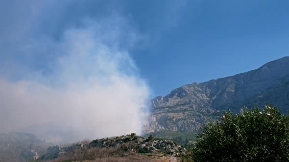 Forest Fire Below Mountain Biokovo In Croatia