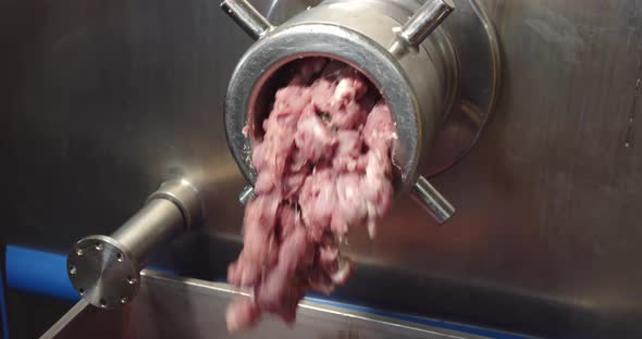 Freshly ground meat coming out of a meat grinder - Stock Image - F017/6580  - Science Photo Library