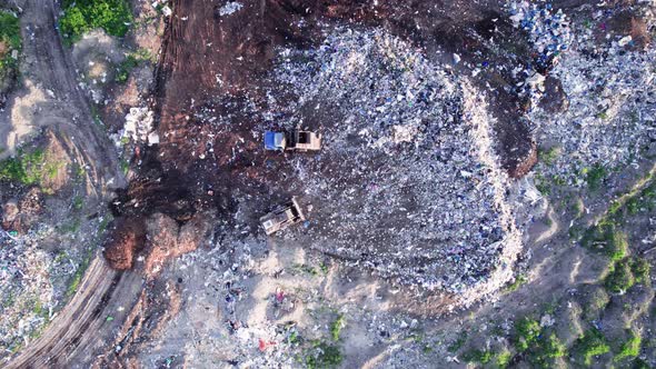 White Birds Flocks Over the Garbage Dump alt