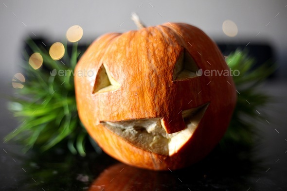 Halloween  - Stock Photo - Images