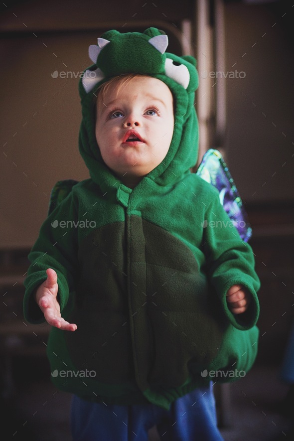 Toddler in dinosaur costume for Halloween