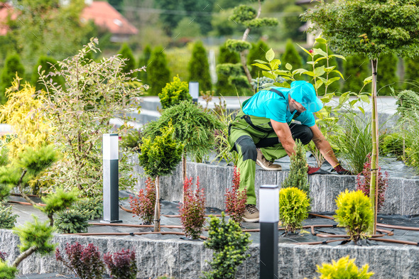 Gardener Taking Care of Landscaped Flower Bed - Stock Photo - Images